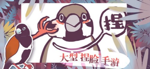 文鸟恋爱物语截图3