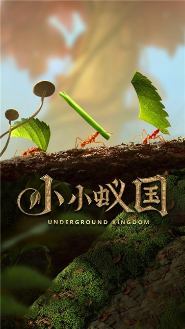 小小蚂蚁  v21.434.0