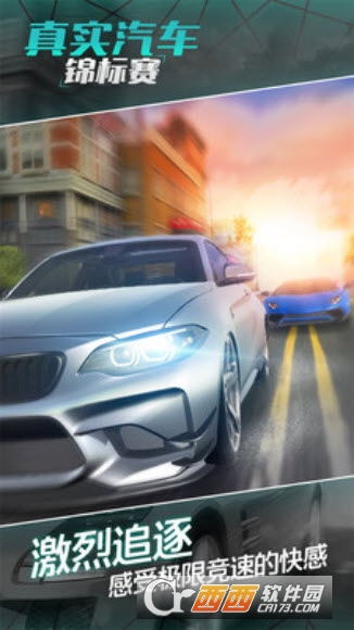 真实汽车锦标赛 v1.0.1安卓版