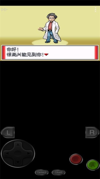 口袋妖怪赭色汉化版截图2