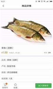 鲜域生鲜
