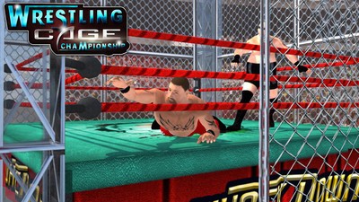 摔跤狂热 2024-06-25 15:08