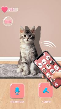 猫咪语言翻译器截图1