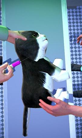 动物外科医院 2024-06-25 15:08