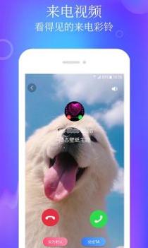 闪闪动态壁纸主题截图1