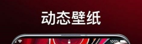 灵猫主题壁纸