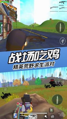 真实吃鸡模拟器.jpg