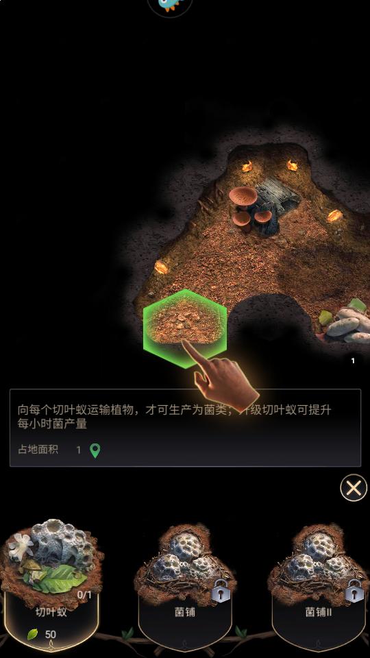 小小蚁国
