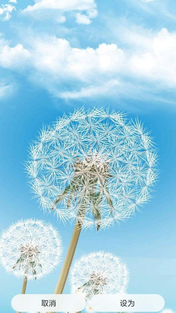 创意壁纸 版本：v1.1