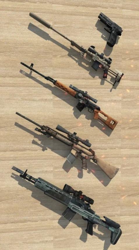 射击场大师截图1