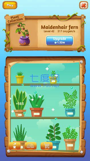 盆栽培植放置