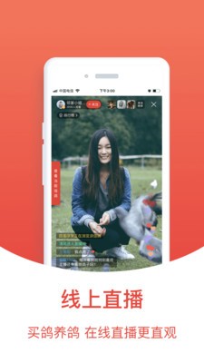 赛鸽头条  v2.2.0.1