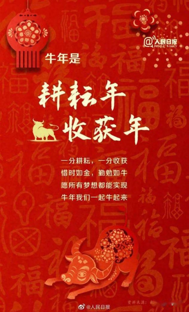 牛年只有354天图片表情包截图2