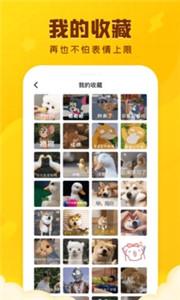 闪萌表情包