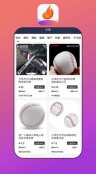 花火白狐截图1