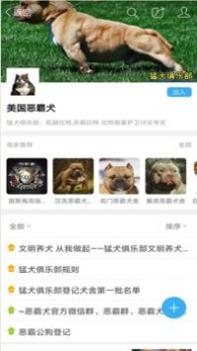 猛犬俱乐部截图2