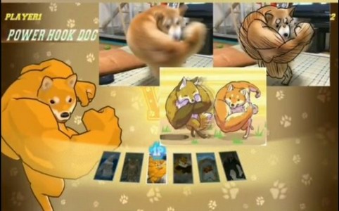 勾拳柴犬 2019-12-24 17:18