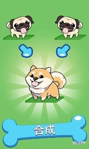 Merge Dogs(合成狗狗)截图3