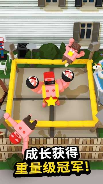 拳击手 2024-06-25 15:08