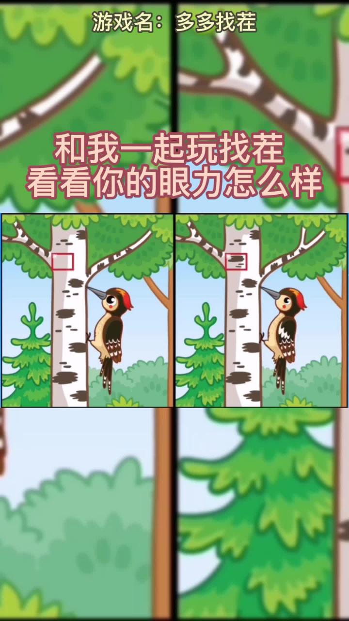 多多找茬.jpg