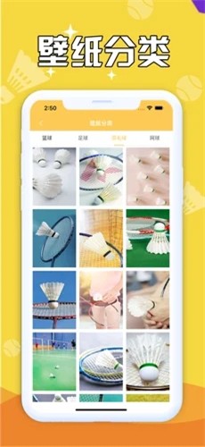 球库壁纸.jpg