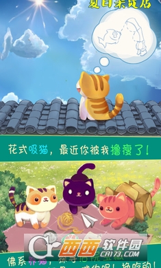 夏日杂货店游戏截图1