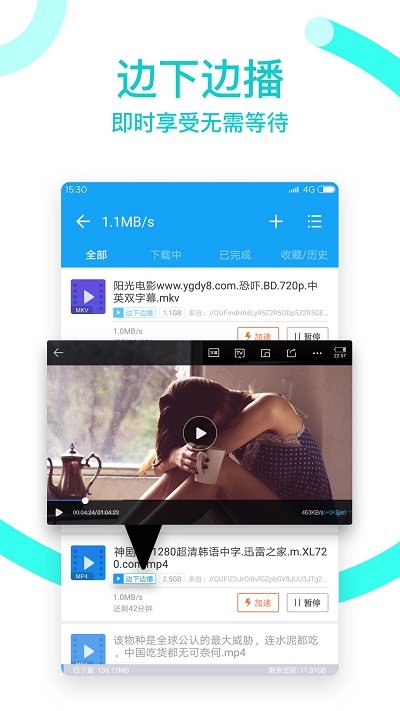 迅雷5.8稳定版截图0