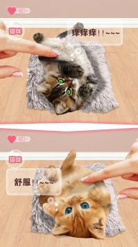 猫咪语言翻译器截图0