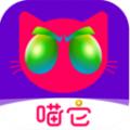 喵它商家版