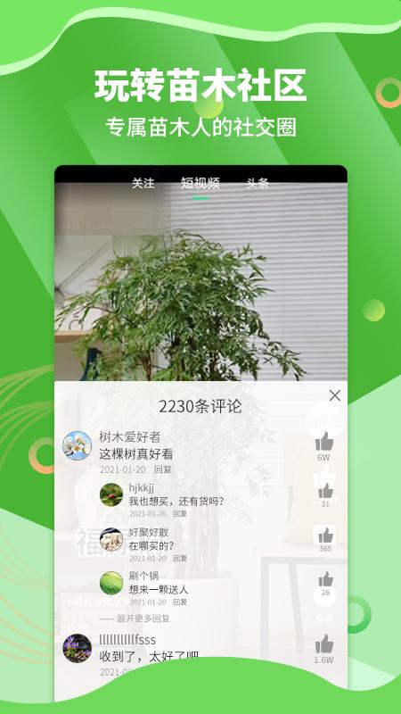 苗木通截图1