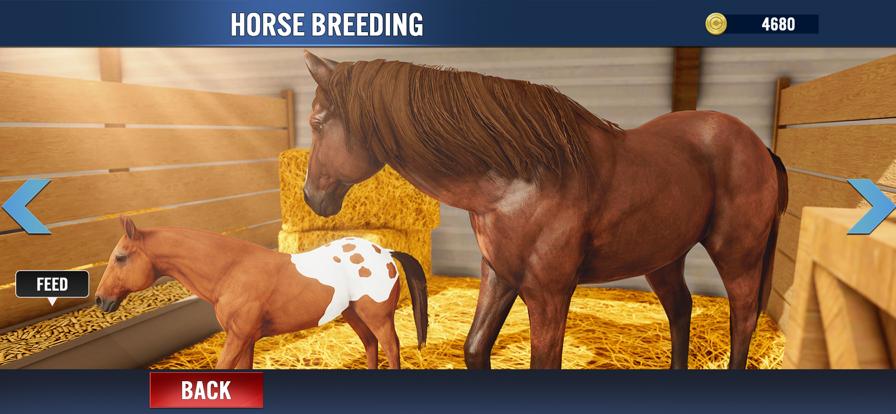 我的稳定的马赛车游戏 V 1.0.3