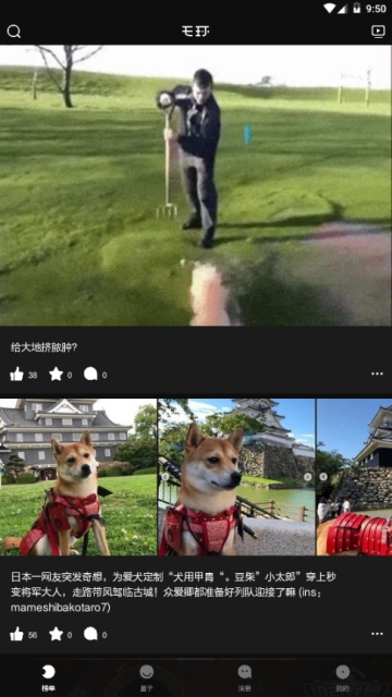 毛球图文