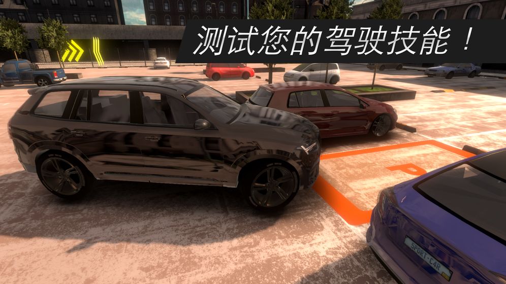 真正的停车场：停车大师截图1