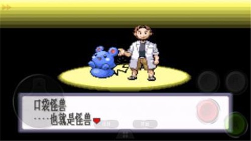 口袋妖怪红宝石386版截图1
