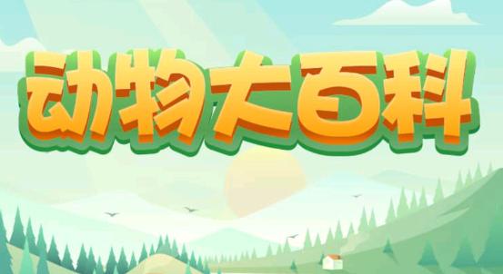 动物大百科红包版