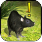 Home Rat simulator(家鼠模拟器)