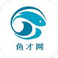 鱼才网招聘