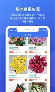 云选鲜花批发