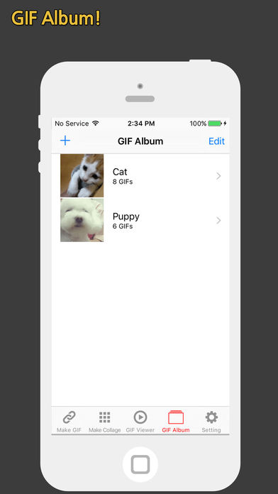 GIF Toaster安卓(GIF大师) 版本：v5.1