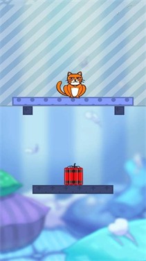 我的猫咪.jpg