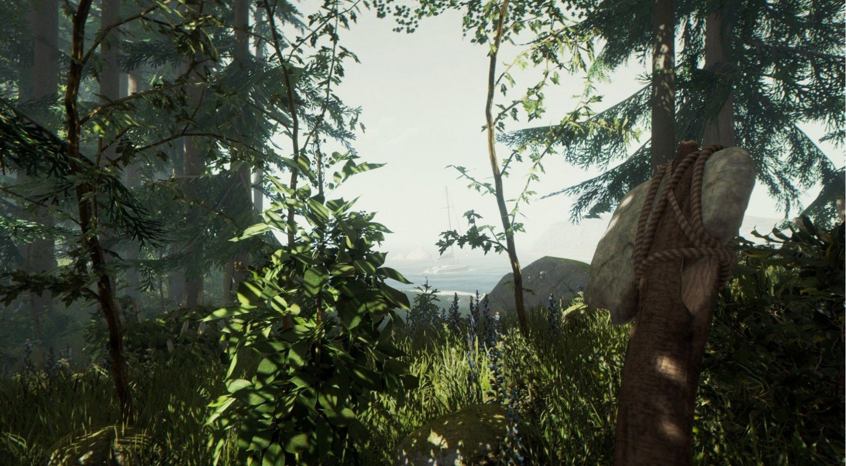 重启黎明之所 2023-02-11 16:58