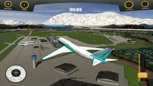 真实空中飞机截图1