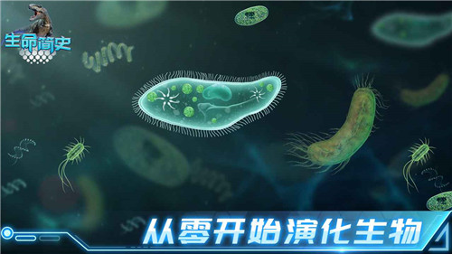 生命简史1.6.6