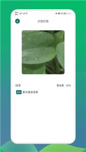小园丁花草截图1