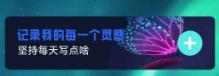 梦蝶行影