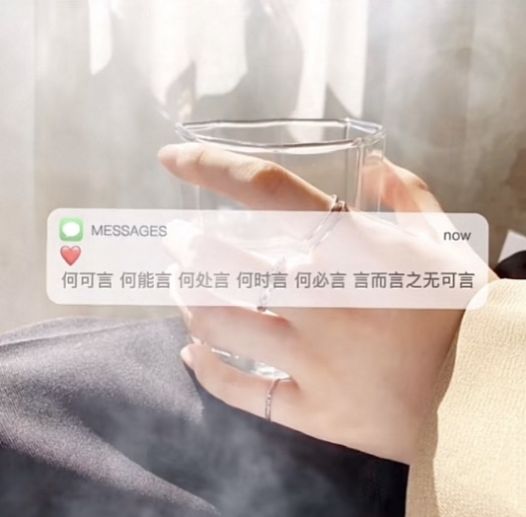 何可言何能言何处言何时言何必言言而言之无可言背景图片截图2