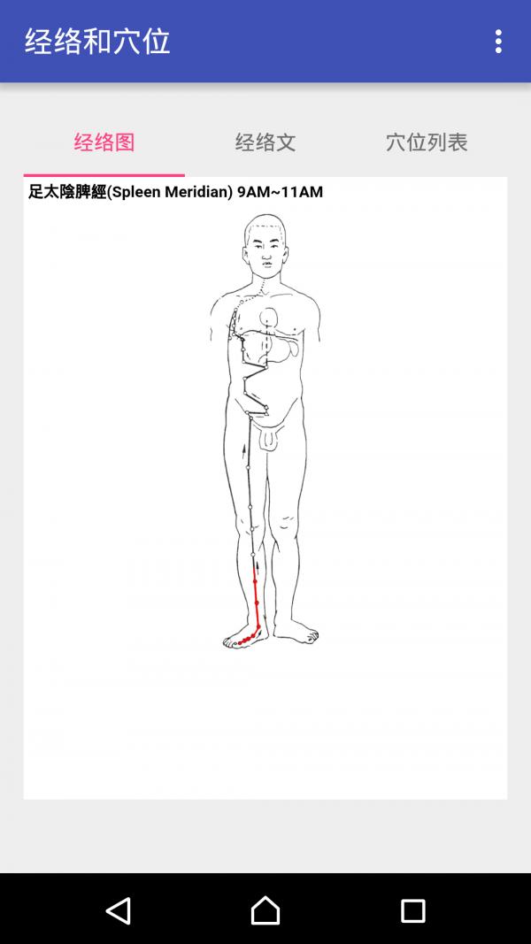 中医经络穴位流注 版本：v2.2