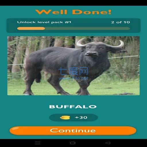 动物知识大挑战Animal Quiz截图2
