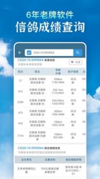 信鸽足环号查询截图3