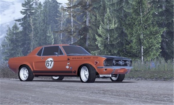 CarX拉力赛汉化版  v18916